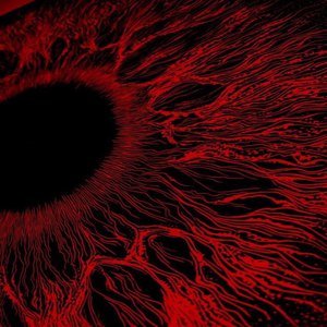 吴敏农场的驴全文阅读
