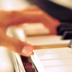 吴敏农场的驴全文阅读
