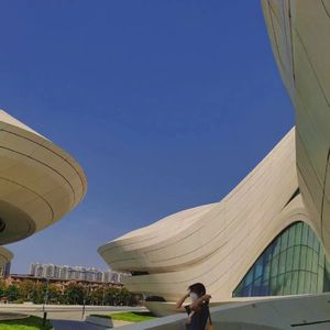 吴敏农场的驴全文阅读
