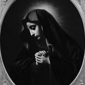 吴敏农场的驴全文阅读
